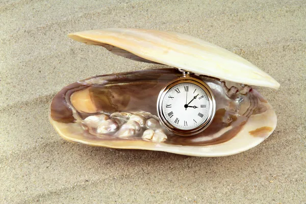 Zakhorloge in een zee shell met echte parels. — Stockfoto