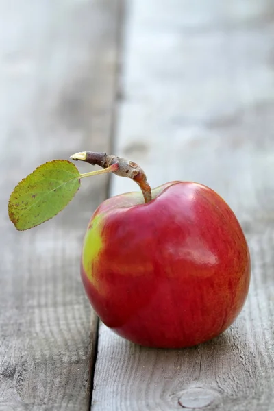 Κόκκινο φρέσκο βιολογικό μήλο — Φωτογραφία Αρχείου