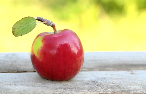 Röd, fräsch och ekologisk äpple Stockbild
