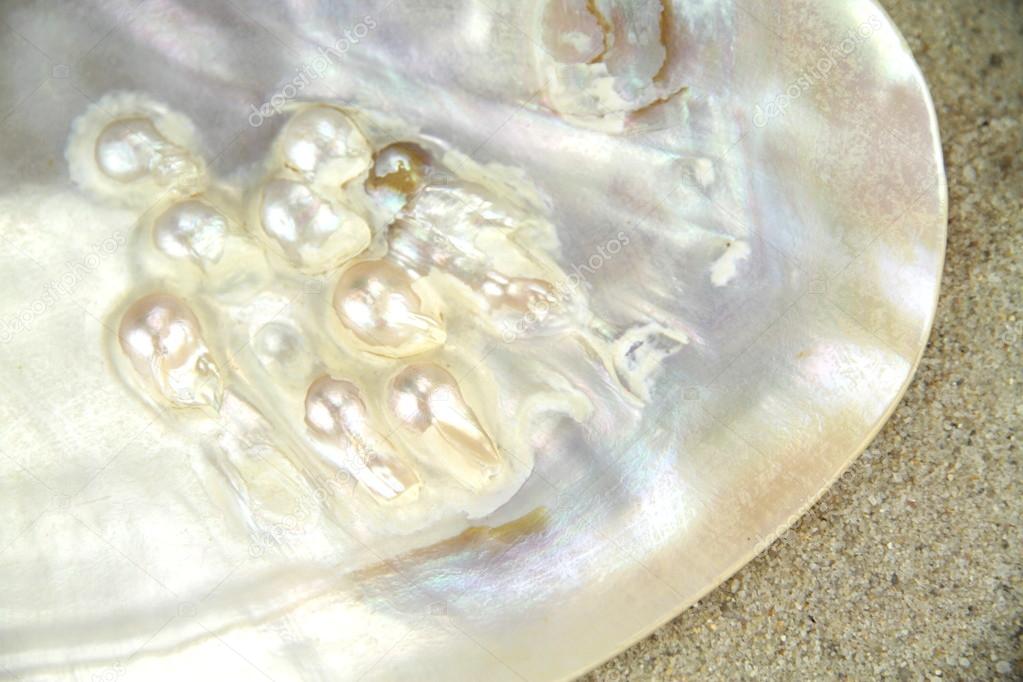 Mother of pearl texture with real pearls in a sea shell