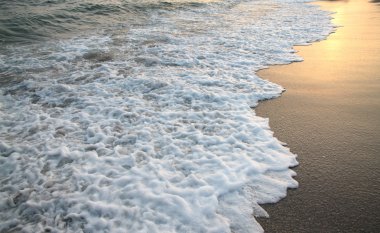 plaj ve deniz dalgası