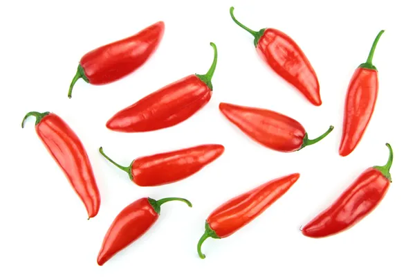 Röd chilipeppar — Stockfoto