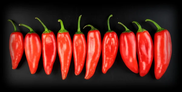 Röd het chilipeppar — Stockfoto