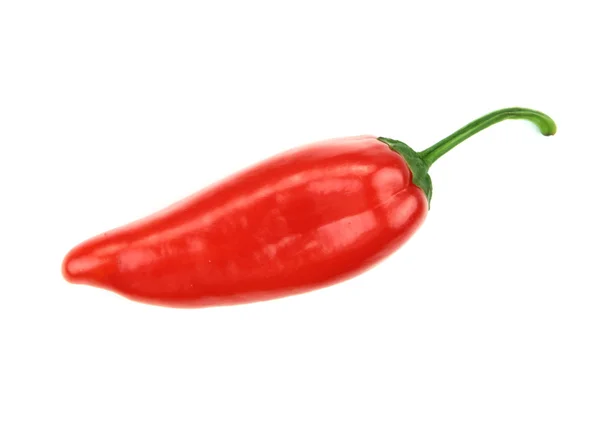 Röd het chilipeppar — Stockfoto