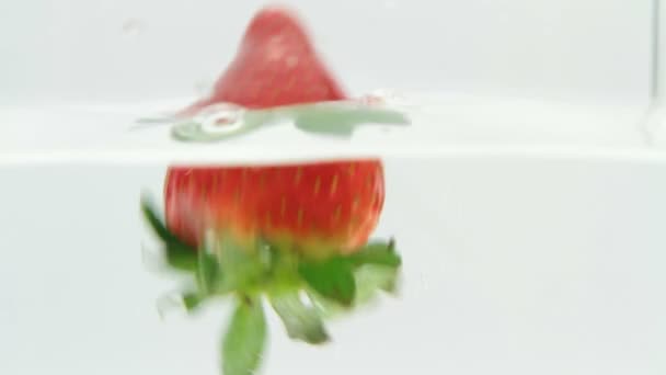 Fragola in acqua — Video Stock