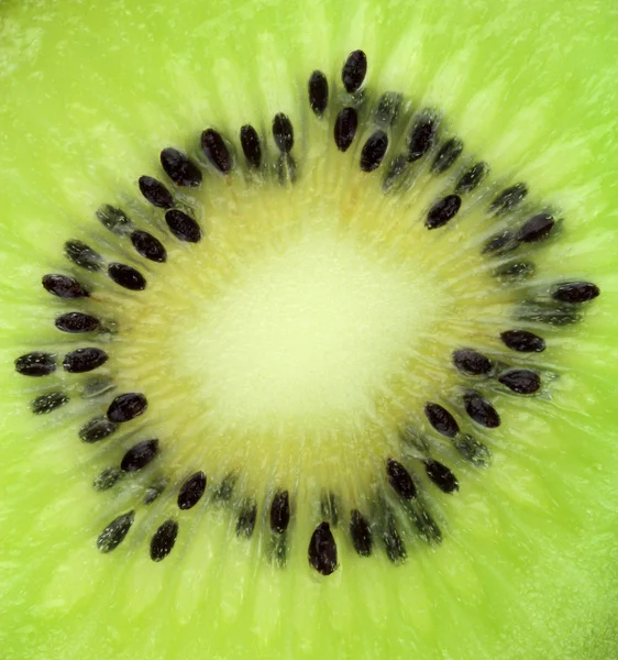 Köstliche Kiwi-Früchte — Stockfoto