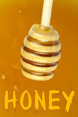 Tatlım, tatlım metin ve bal ayı