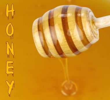 Tatlım, tatlım metin ve bal ayı