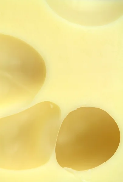 Textura de queijo (queijo maasdamer  ) — Fotografia de Stock
