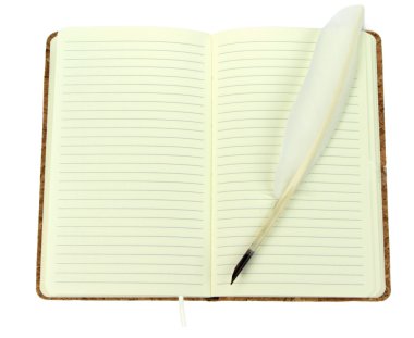 Açık not defteri üzerinde tüy kalem.