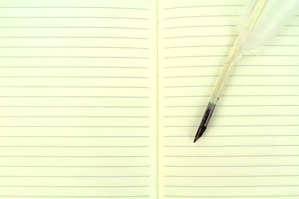 Quill penna på en öppen anteckningsbok. — Stockfoto