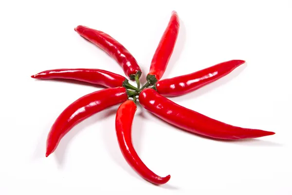 Rojo chile — Foto de Stock