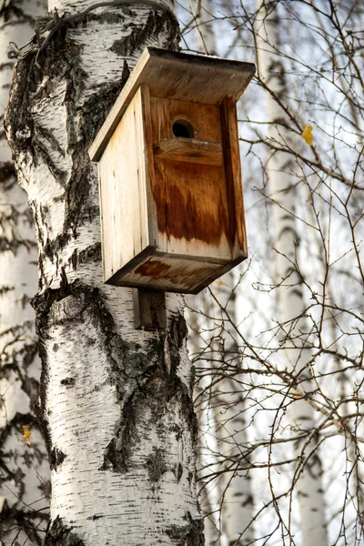 Birdhouse dla ptaków. Dom dla ptaków na drzewie — Zdjęcie stockowe
