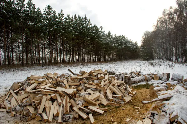 Ψιλοκομμένο ξύλο. προετοιμασία για την χειμερινή περίοδο. — Φωτογραφία Αρχείου