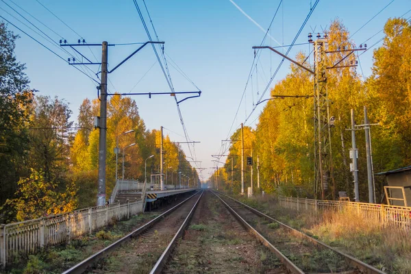 Spoorwegen Omringd Door Bomen Het Herfstbos Onder Blauwe Lucht — Stockfoto