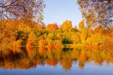resimsel sonbahar manzarası: nehir kıyısında sarı yapraklı ağaçlar, suda yansıması olan