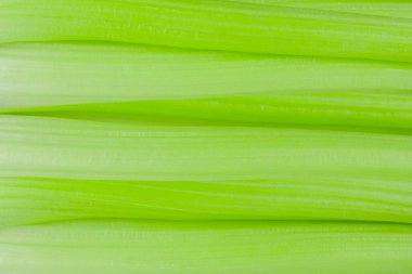 Yeni mahsulün taze yeşil kereviz sapları. Pişmemiş yemek. Diyet yemek..