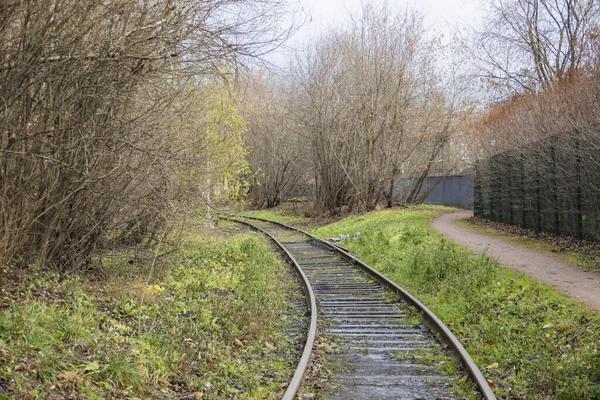 Verlaten Spoorweg Met Roestige Rails Houten Dwarsliggers Tussen Struiken Bomen — Stockfoto