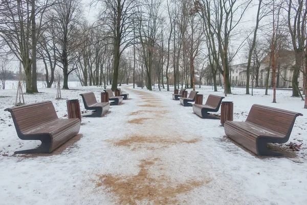 Icy Path Sprinkled Sand Winter Park Rows Benches — Zdjęcie stockowe