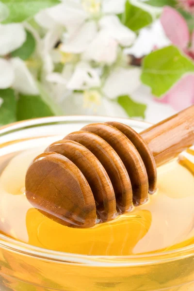 Miel en tarro de vidrio y palo — Foto de Stock