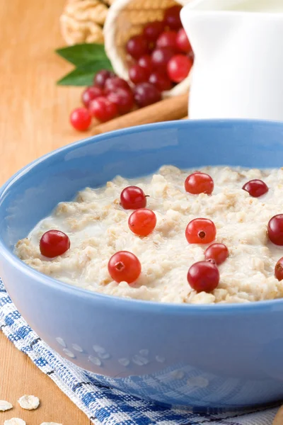 Bowl of oatmeal with berry on napkin — Stock Photo, Image