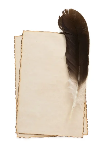 Feather on parchment isolated at white — Stock Photo, Image