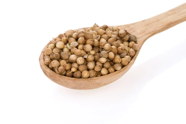 Coriander spices in spoon on white — Stock Photo, Image