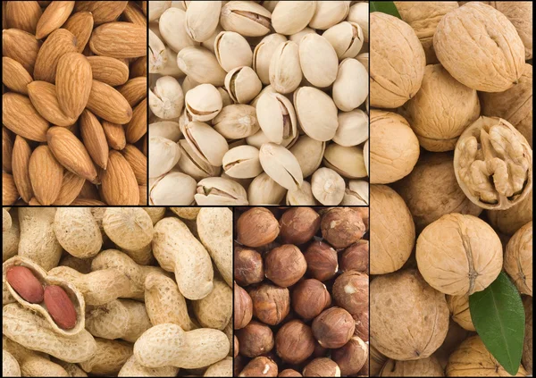 Set of nuts collage — Stock Photo, Image