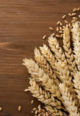 ahşap üzerine buğday Başak