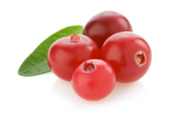 Ripe cranberry on white — Stock Photo, Image