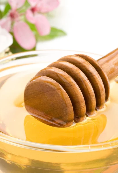 Miel en maceta —  Fotos de Stock