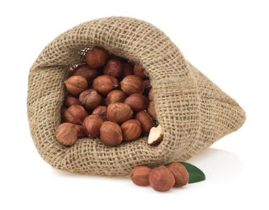 Ceviz fındık üzerinde beyaz izole