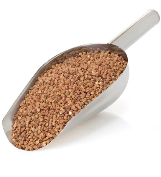 Buckwheat on white — Stock Photo, Image