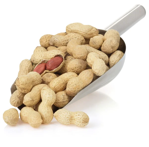 Nuts peanuts isolated on white — Stock Photo, Image