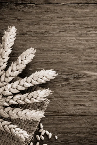 黄麻布の小麦の耳 — ストック写真