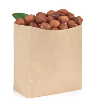 Beyaz arka plan üzerinde izole ceviz fındık