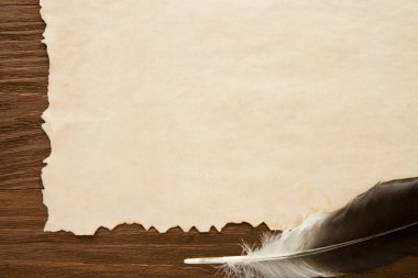 parşömen üzerine mürekkep tüy