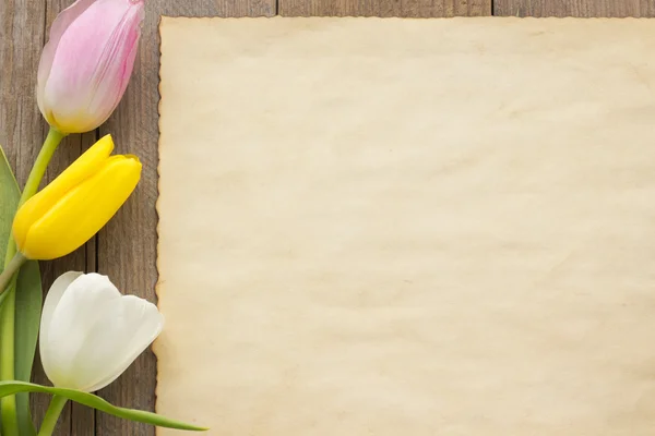 Fiori di tulipano su legno — Foto Stock