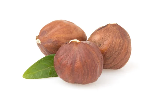 Lískových ořechů na bílém pozadí — Stock fotografie