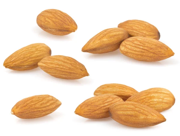 Almond nut on white — Stock Photo, Image