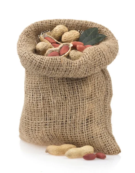 Nüsse Erdnüsse isoliert auf weiß — Stockfoto