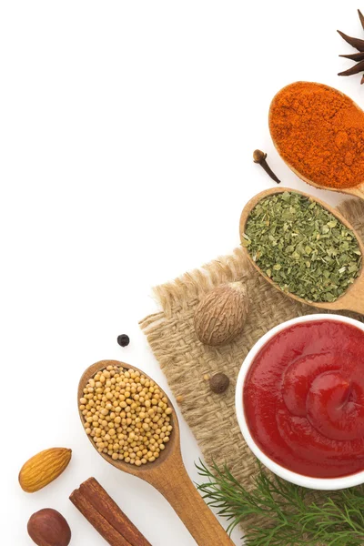 Ingredienser och kryddor isolerad på vit bakgrund — Stockfoto