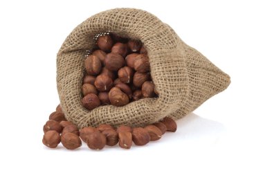 Ceviz fındık üzerinde beyaz izole