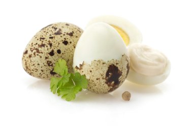 bıldırcın yumurtası beyaz