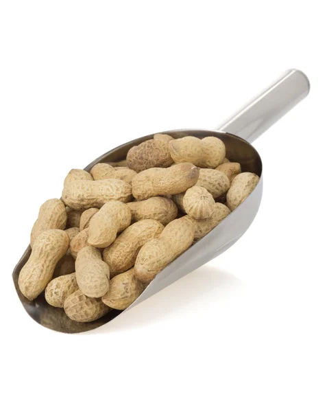 Nuts peanuts isolated on white — Stock Photo, Image