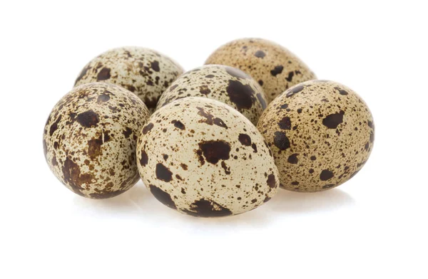 Quail egg on white — Stock Photo, Image