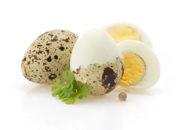 Fürj tojás, fehér — Stock Fotó