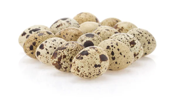 Quail egg on white — Stock Photo, Image