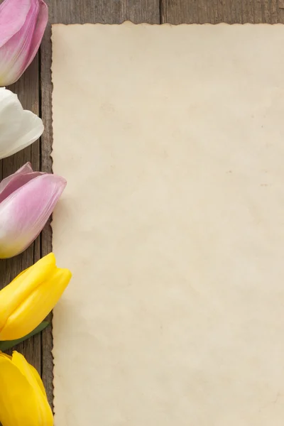 ดอกทิวลิปบนไม้ — ภาพถ่ายสต็อก