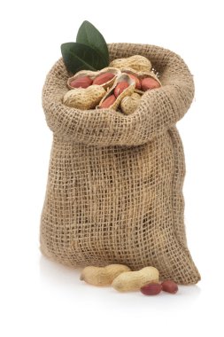 fındık fıstık beyaz izole